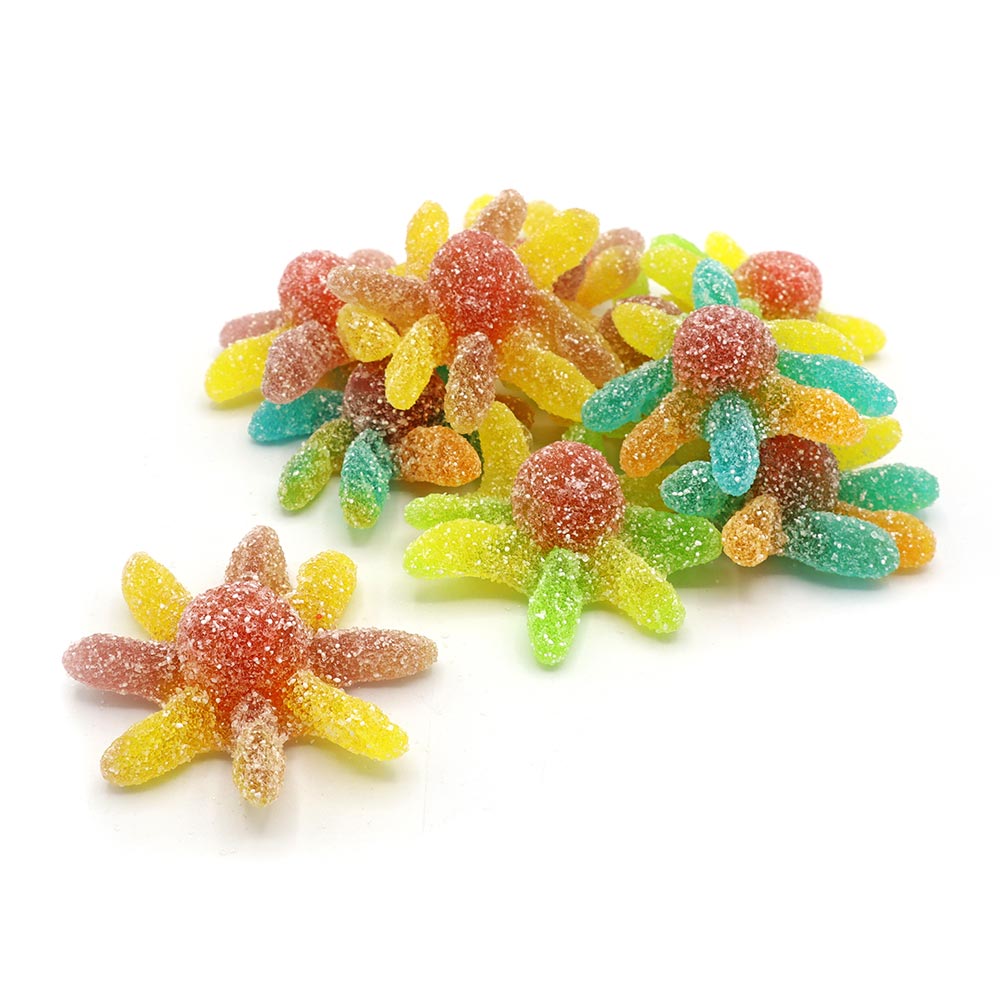 Kingsway Sour Octopus - 2kg